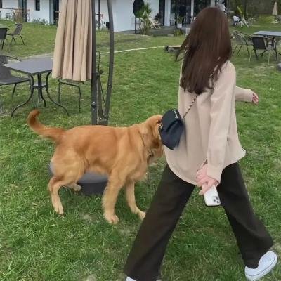 善意的背叛